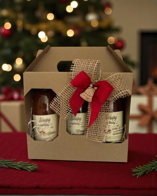 Vánoční balíček sirupů 3x0,23l